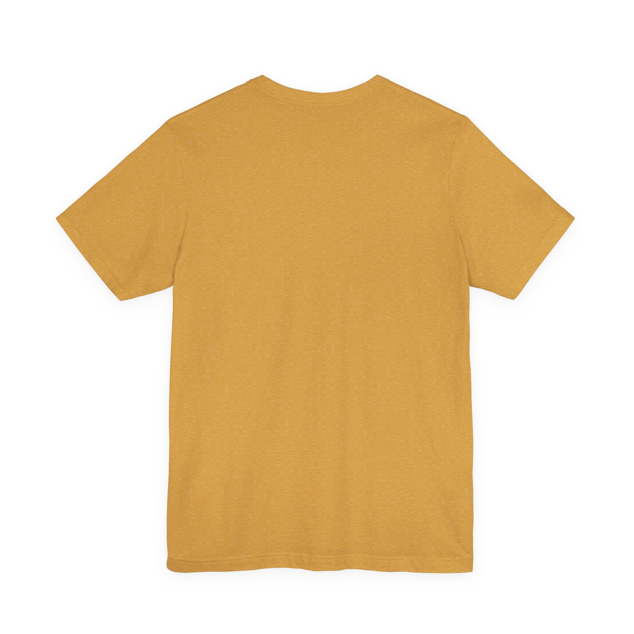 I Have a System Librarian T-Shirt